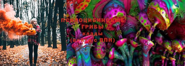 хмурый Горнозаводск